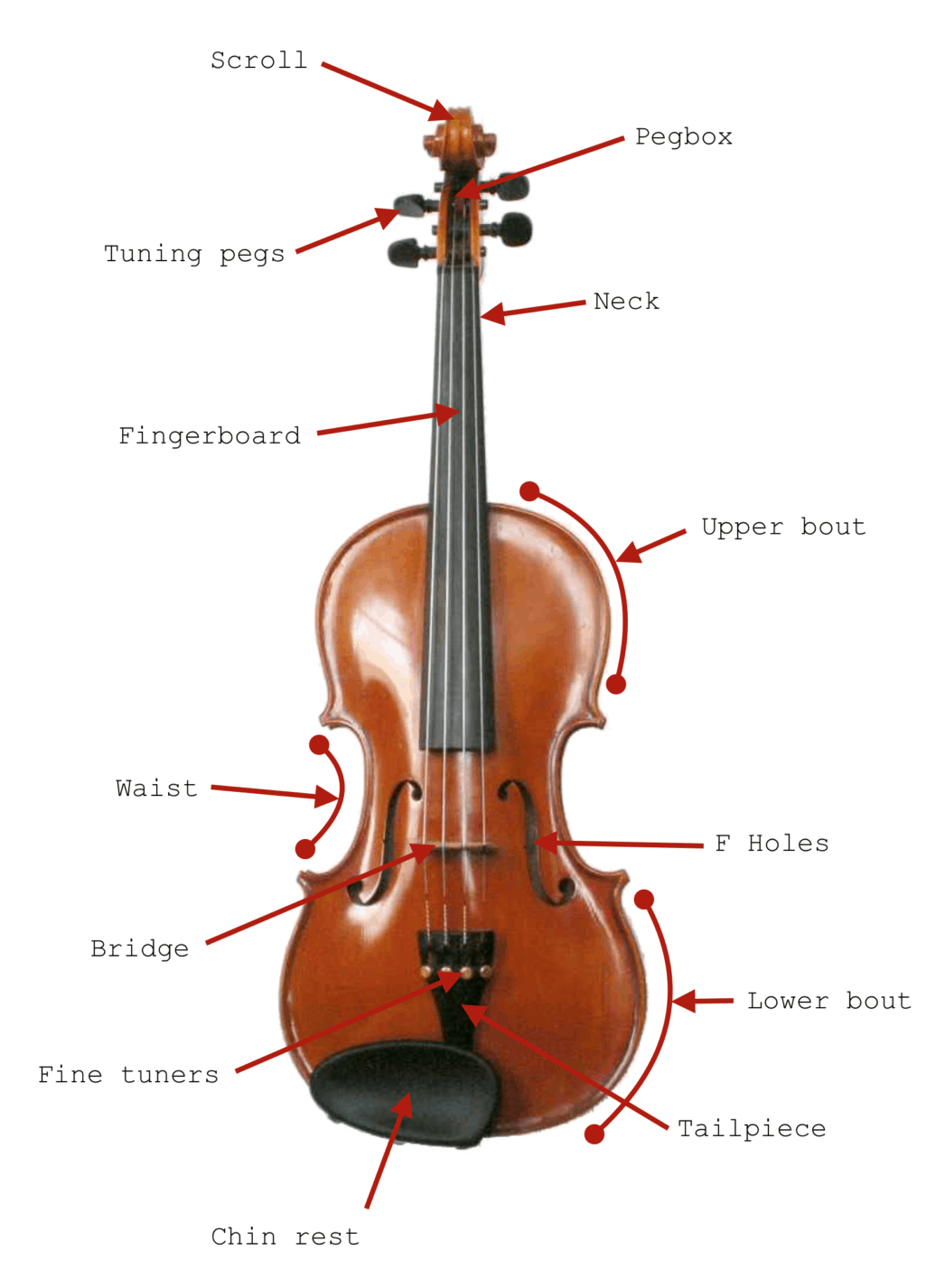String Instruments – The Complete Guide – soundtrack.academy